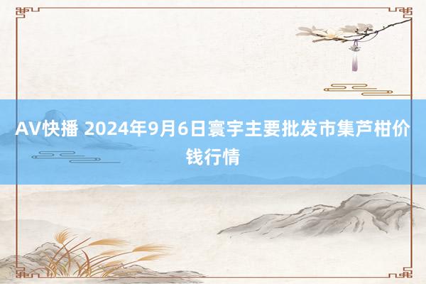 AV快播 2024年9月6日寰宇主要批发市集芦柑价钱行情