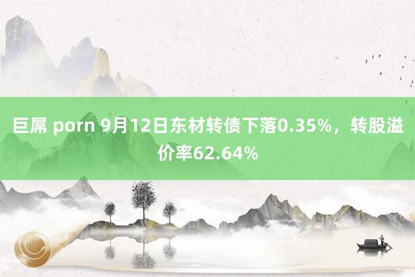 巨屌 porn 9月12日东材转债下落0.35%，转股溢价率62.64%