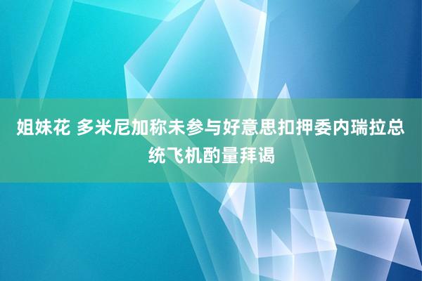 姐妹花 多米尼加称未参与好意思扣押委内瑞拉总统飞机酌量拜谒