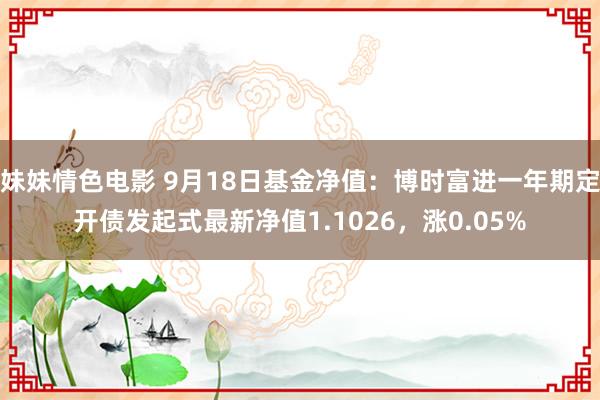 妹妹情色电影 9月18日基金净值：博时富进一年期定开债发起式最新净值1.1026，涨0.05%