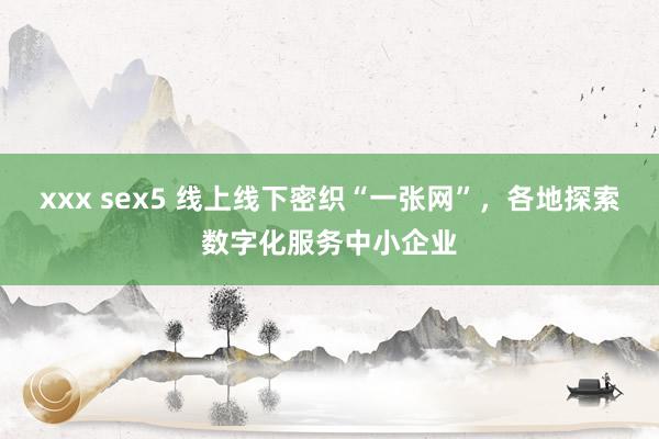 xxx sex5 线上线下密织“一张网”，各地探索数字化服务中小企业