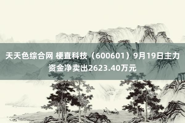 天天色综合网 梗直科技（600601）9月19日主力资金净卖出2623.40万元