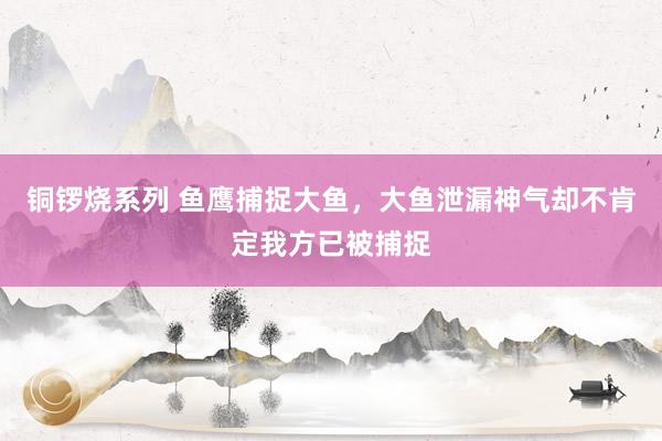 铜锣烧系列 鱼鹰捕捉大鱼，大鱼泄漏神气却不肯定我方已被捕捉