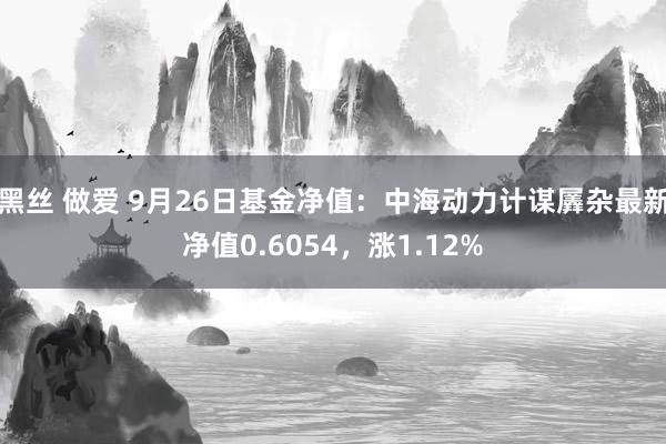 黑丝 做爱 9月26日基金净值：中海动力计谋羼杂最新净值0.6054，涨1.12%