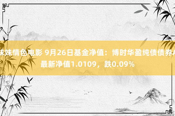 妹妹情色电影 9月26日基金净值：博时华盈纯债债券A最新净值1.0109，跌0.09%