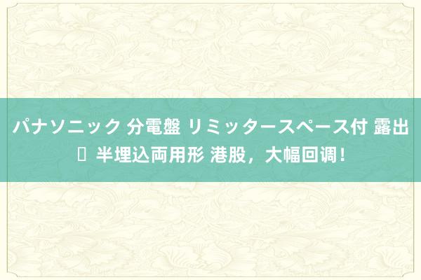 パナソニック 分電盤 リミッタースペース付 露出・半埋込両用形 港股，大幅回调！