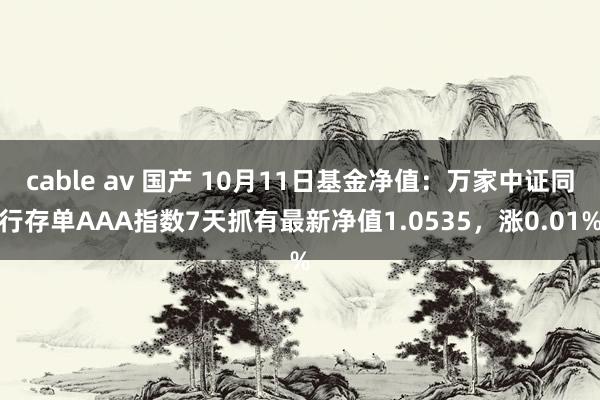 cable av 国产 10月11日基金净值：万家中证同行存单AAA指数7天抓有最新净值1.0535，涨0.01%