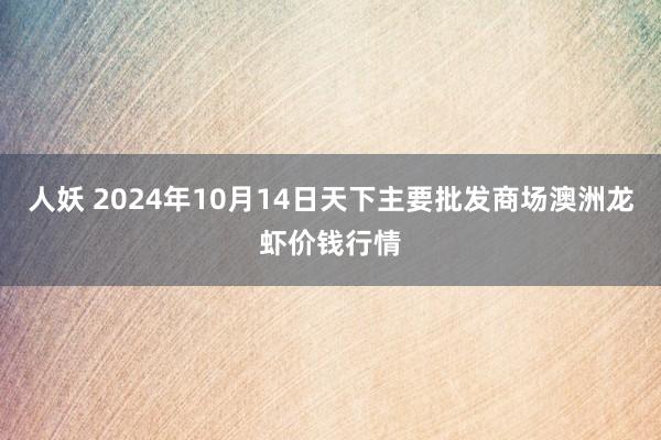 人妖 2024年10月14日天下主要批发商场澳洲龙虾价钱行情