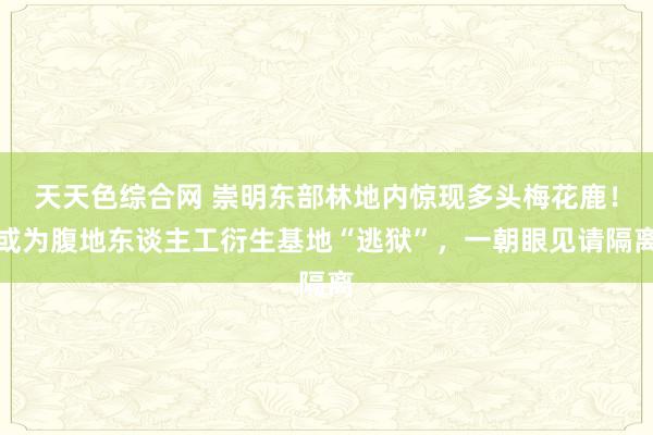 天天色综合网 崇明东部林地内惊现多头梅花鹿！或为腹地东谈主工衍生基地“逃狱”，一朝眼见请隔离