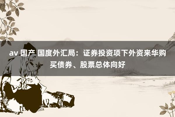 av 国产 国度外汇局：证券投资项下外资来华购买债券、股票总体向好