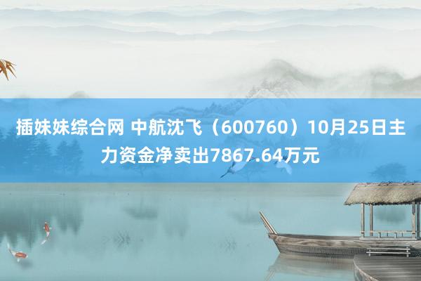 插妹妹综合网 中航沈飞（600760）10月25日主力资金净卖出7867.64万元