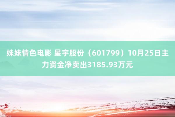 妹妹情色电影 星宇股份（601799）10月25日主力资金净卖出3185.93万元