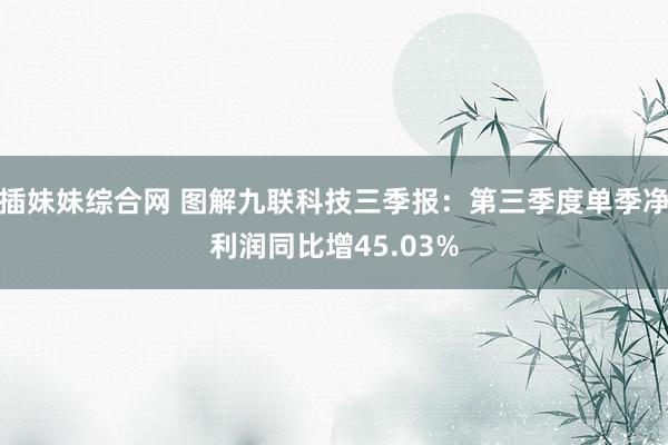 插妹妹综合网 图解九联科技三季报：第三季度单季净利润同比增45.03%