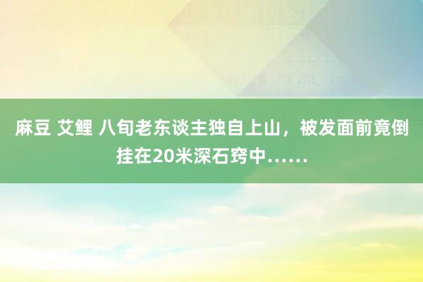 麻豆 艾鲤 八旬老东谈主独自上山，被发面前竟倒挂在20米深石窍中……