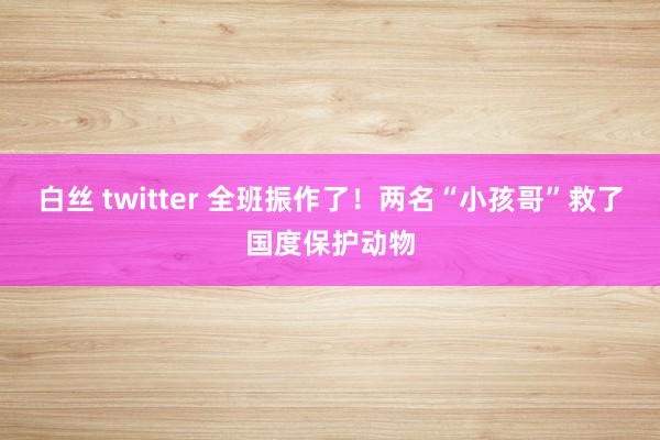 白丝 twitter 全班振作了！两名“小孩哥”救了国度保护动物