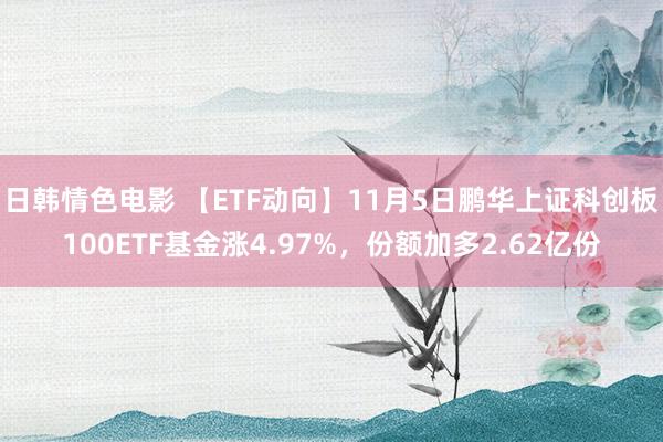 日韩情色电影 【ETF动向】11月5日鹏华上证科创板100ETF基金涨4.97%，份额加多2.62亿份