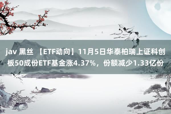 jav 黑丝 【ETF动向】11月5日华泰柏瑞上证科创板50成份ETF基金涨4.37%，份额减少1.33亿份