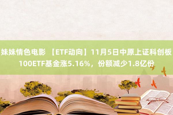 妹妹情色电影 【ETF动向】11月5日中原上证科创板100ETF基金涨5.16%，份额减少1.8亿份