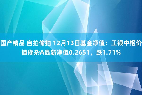 国产精品 自拍偷拍 12月13日基金净值：工银中枢价值搀杂A最新净值0.2651，跌1.71%