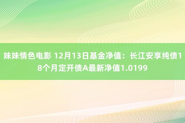 妹妹情色电影 12月13日基金净值：长江安享纯债18个月定开债A最新净值1.0199