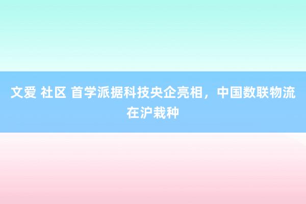 文爱 社区 首学派据科技央企亮相，中国数联物流在沪栽种