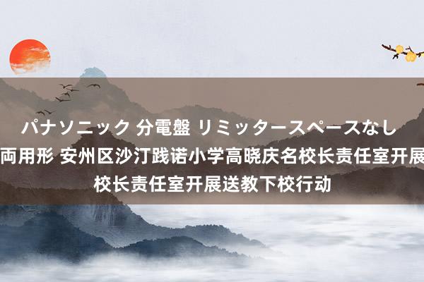 パナソニック 分電盤 リミッタースペースなし 露出・半埋込両用形 安州区沙汀践诺小学高晓庆名校长责任室开展送教下校行动