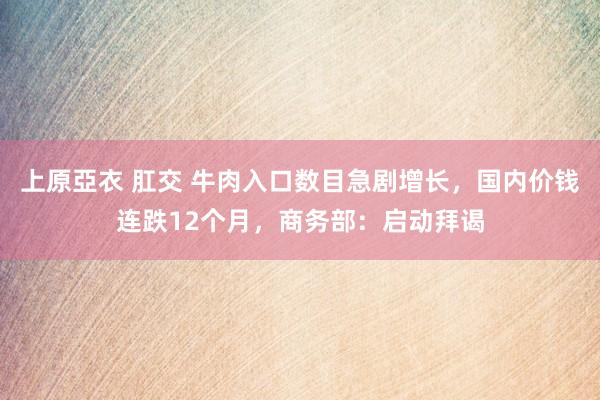 上原亞衣 肛交 牛肉入口数目急剧增长，国内价钱连跌12个月，商务部：启动拜谒