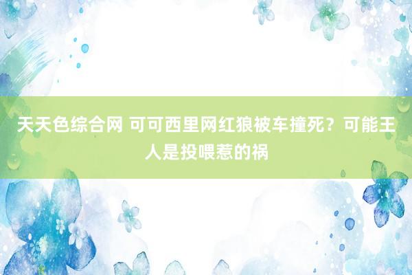 天天色综合网 可可西里网红狼被车撞死？可能王人是投喂惹的祸