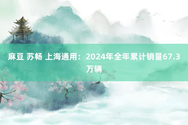 麻豆 苏畅 上海通用：2024年全年累计销量67.3万辆