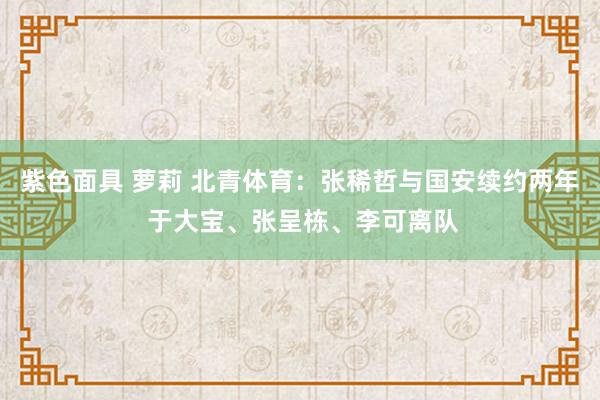 紫色面具 萝莉 北青体育：张稀哲与国安续约两年 于大宝、张呈栋、李可离队