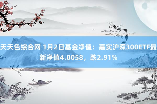 天天色综合网 1月2日基金净值：嘉实沪深300ETF最新净值4.0058，跌2.91%