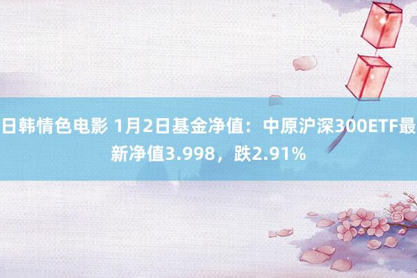 日韩情色电影 1月2日基金净值：中原沪深300ETF最新净值3.998，跌2.91%