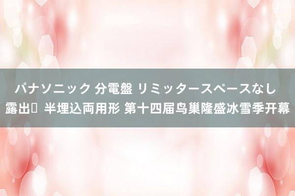 パナソニック 分電盤 リミッタースペースなし 露出・半埋込両用形 第十四届鸟巢隆盛冰雪季开幕