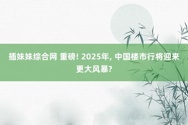 插妹妹综合网 重磅! 2025年， 中国楼市行将迎来更大风暴?