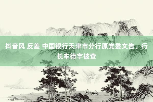 抖音风 反差 中国银行天津市分行原党委文告、行长车德宇被查