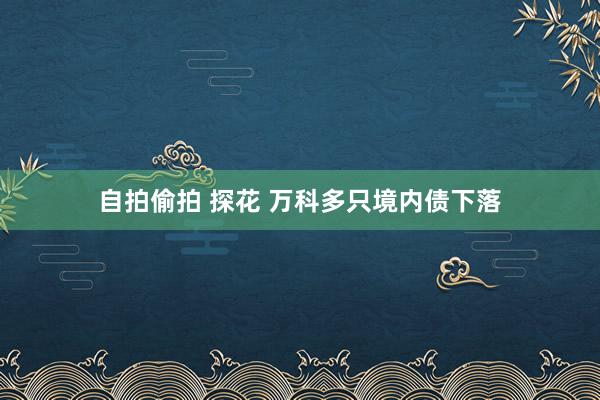 自拍偷拍 探花 万科多只境内债下落