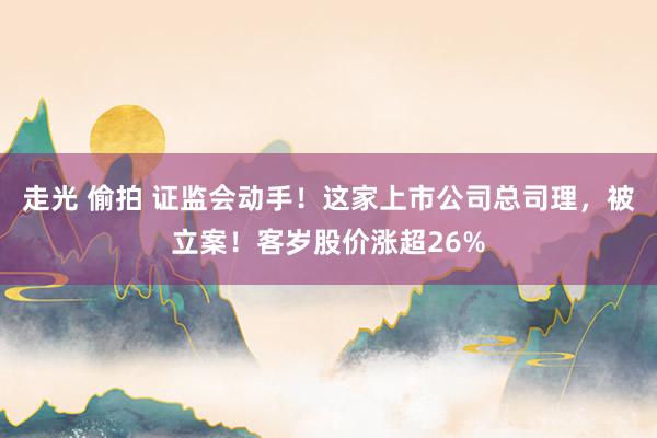 走光 偷拍 证监会动手！这家上市公司总司理，被立案！客岁股价涨超26%