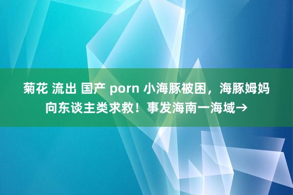 菊花 流出 国产 porn 小海豚被困，海豚姆妈向东谈主类求救！事发海南一海域→